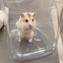 사상동물병원 이미지