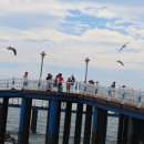 서구장애인협회 이미지