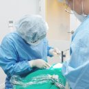 영도조은치과의원 이미지