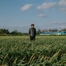 민주 태양광발전소 세계일보
