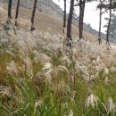죽마고우 - 아산시 | 죽마고우