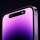 애플아일랜드 이미지