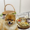 1588 | 대성리 맛집 마녀네집김밥 남양주카페추천