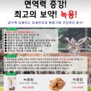 이영애농장 이미지