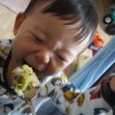 맘마당 네이버블로그