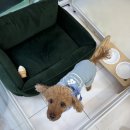 우연이미용실 이미지