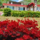 다래하우스펜션 이미지