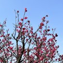 적당한 날 이미지