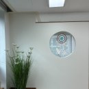 브로우츄