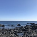 토산2리 이미지