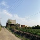 낙천리장 이미지