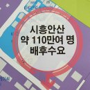 엠티브이 이미지