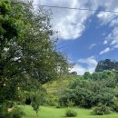 소풍나라 | 양수리카페 소풍