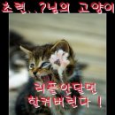 초련이의 두번??만화 [라스트킹덤] 이미지