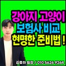 김종하 동물병원 이미지