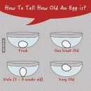 계란이 얼마나 오래되었는지 알아보는법. 이미지