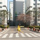 지에스25 염창행복점 이미지