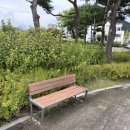 [일반] 사진촬영 및 편집 입문(스마트폰) / 오후 / 24.06.03(1) | 아이폰 17 에어 카메라 후기. 저조도, 야간 결과물 살펴보니