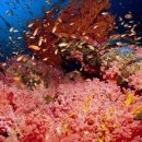 씨~월드 이미지