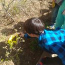 양지초병설유치원 이미지