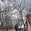 낙동강관리본부 화명생태공원 11 이미지