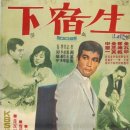 정이생(하) 이미지