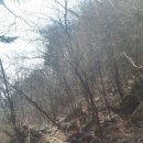 개인약수산방 이미지