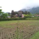 성당보건지소 이미지