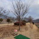안덕면전천후게이트볼장 네이버블로그