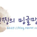 매직홈마트 이미지