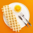 메가크로플 이미지