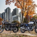 큰들주유소 이미지