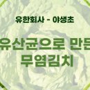 유한회사 야생초