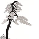 소피아 헤어 겔러리