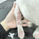 김소율샵 이미지