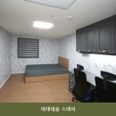 아테네움스테이
