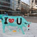 행복한우리소 이미지