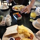 비멜코리아 | LA&amp;칸쿤 신행② 더파이브다운타운 조식, 월마트, 코즈멜섬 투어, AY TACO! 후기