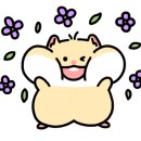 오뷔아이스크림 이미지