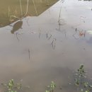 적중농장 이미지