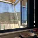 스테이 자이언 이미지