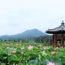 함안-1 이미지