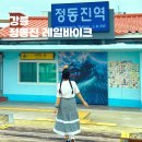 빈스바이크 빈스애견호텔 | 정동진 레일바이크 현장 예약 주차장 비 오는 날