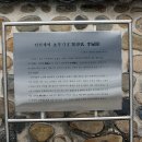 인천채씨 효부각仁川蔡氏 孝婦閣 티스토리