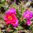 마곡공원 이미지