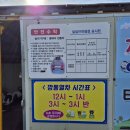 양남농장 | 경주 양남 눈썰매장 개장 깡통열차, 전동 자동차