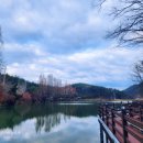 입암저수지주차장 공중화장실 | 계룡 입암저수지 가을 단풍 명소 구경 메타세콰이어길 대전근교 주말 드라이브 데이트 코스 둘레길...