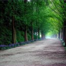 교촌치킨장학점 | 전국 곳곳에 스며든 교촌의 행복한 나눔 경영 이야기