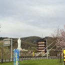 41190-01-07-336 | 삿포로 3박4일 인디고트레블 비에이투어 내돈내산 후기 (가이드 맛집 추천까지)