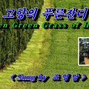 푸른잔디 이미지